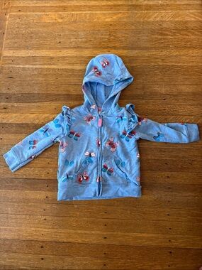 Carter's Blue and Pink Baby Hoodie